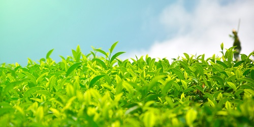 1645507154187927.png image.png