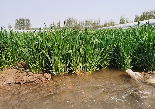 1652240227627832.png image.png