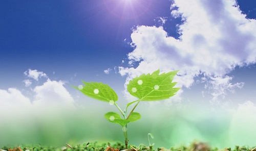 1654656513160372.png image.png