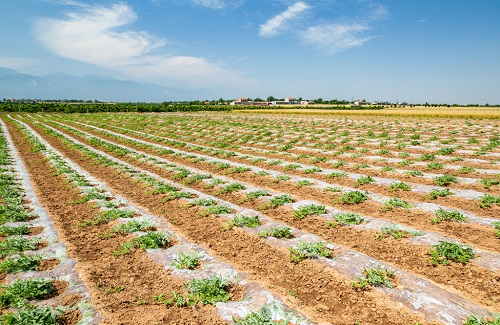 1670916734112278.png image.png