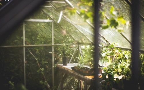 1675402151135892.png image.png