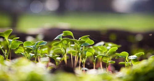 1677219770161064.png image.png