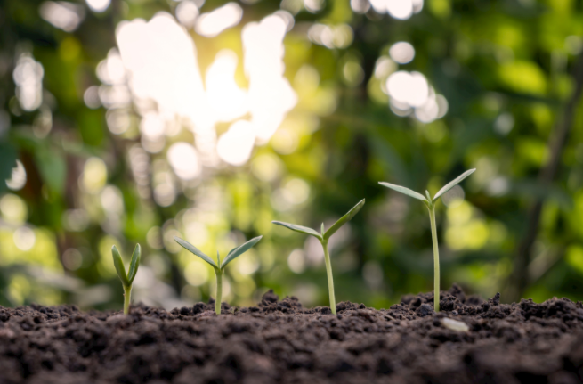 1681109741209579.png 1681109741209579.png